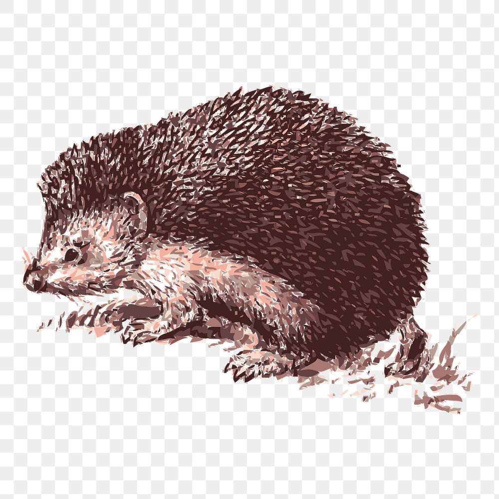 Hedgehog drawing png sticker, transparent background. Free public domain CC0 graphic