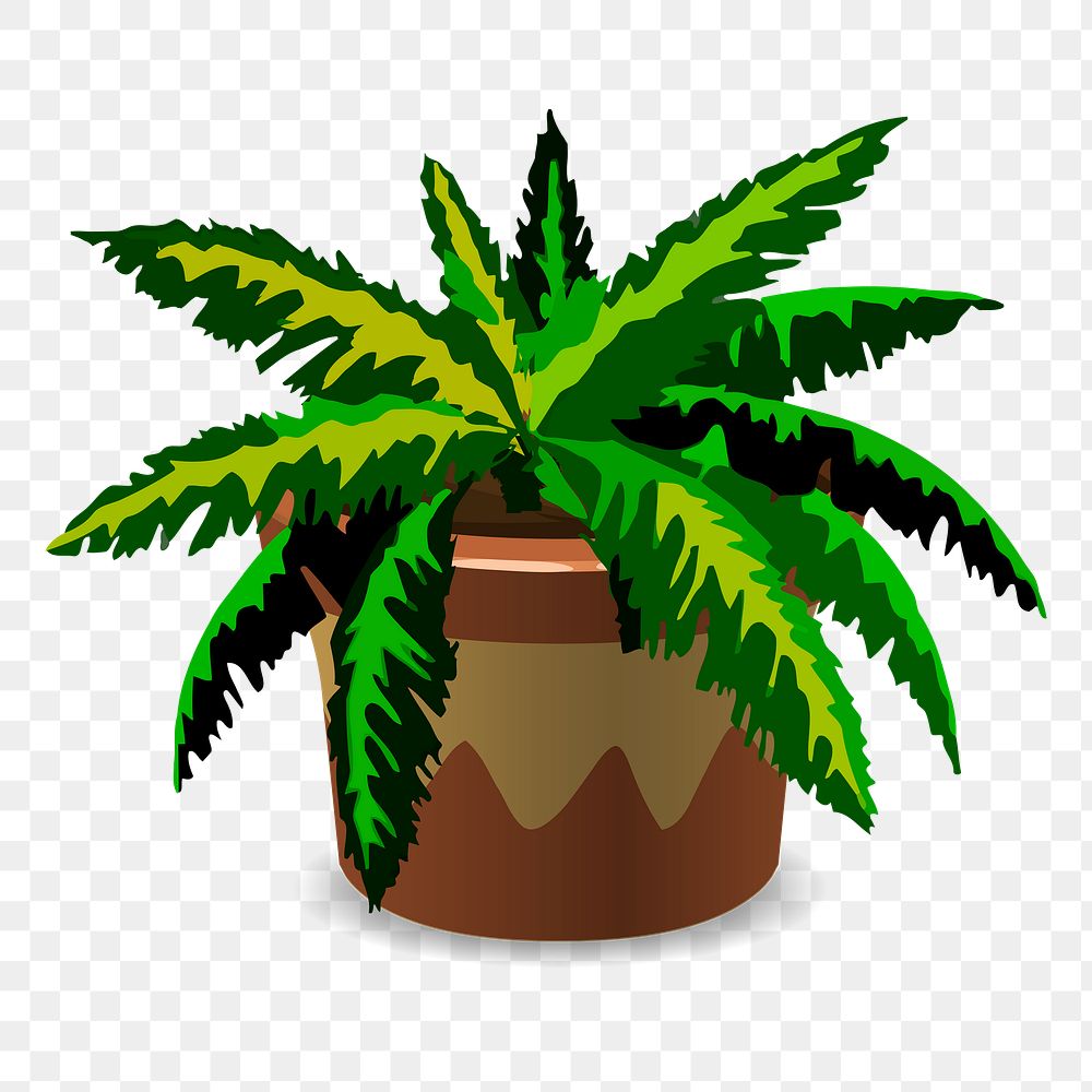 Png potted tropical plant sticker, transparent background. Free public domain CC0 graphic