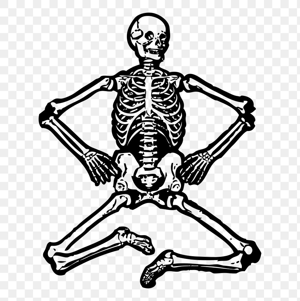 Human skeleton png clipart, transparent background. Free public domain CC0 graphic