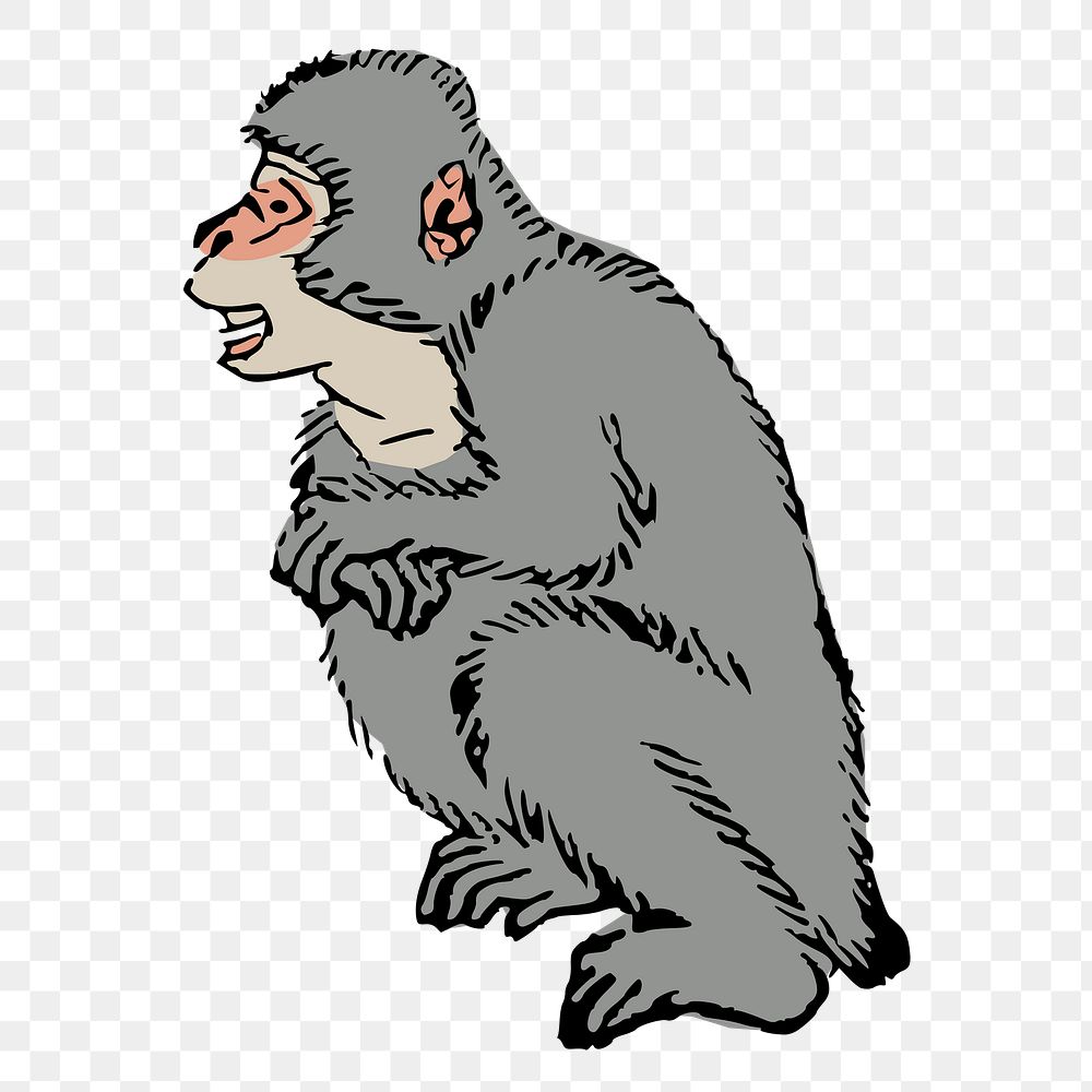 PNG Asian monkey, animal clipart, transparent background. Free public domain CC0 graphic