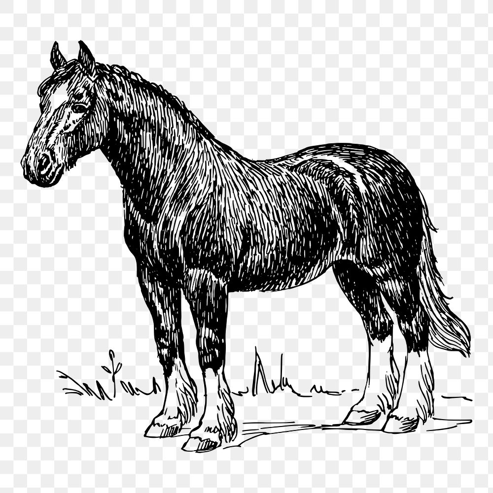 Horse png, vintage animal clipart, transparent background. Free public domain CC0 graphic