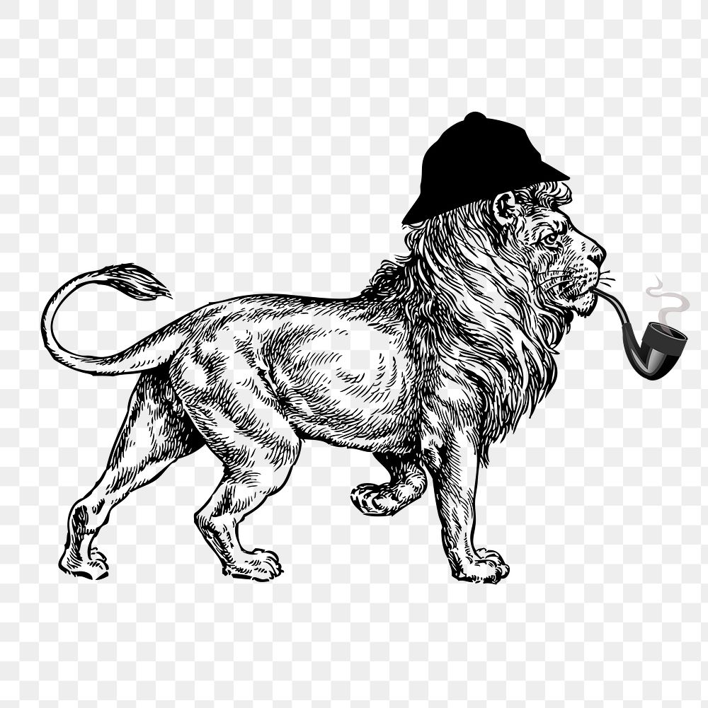 PNG Sherlock lion, animal clipart, transparent background. Free public domain CC0 graphic