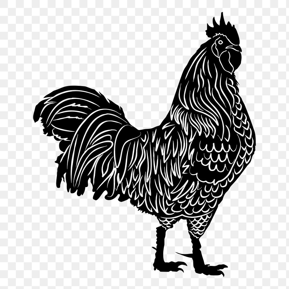 Rooster png, farm animal drawing sticker vintage illustration, transparent background. Free public domain CC0 image.