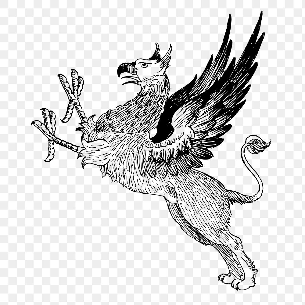 Griffin drawing png, mythical animal sticker vintage illustration, transparent background. Free public domain CC0 image.