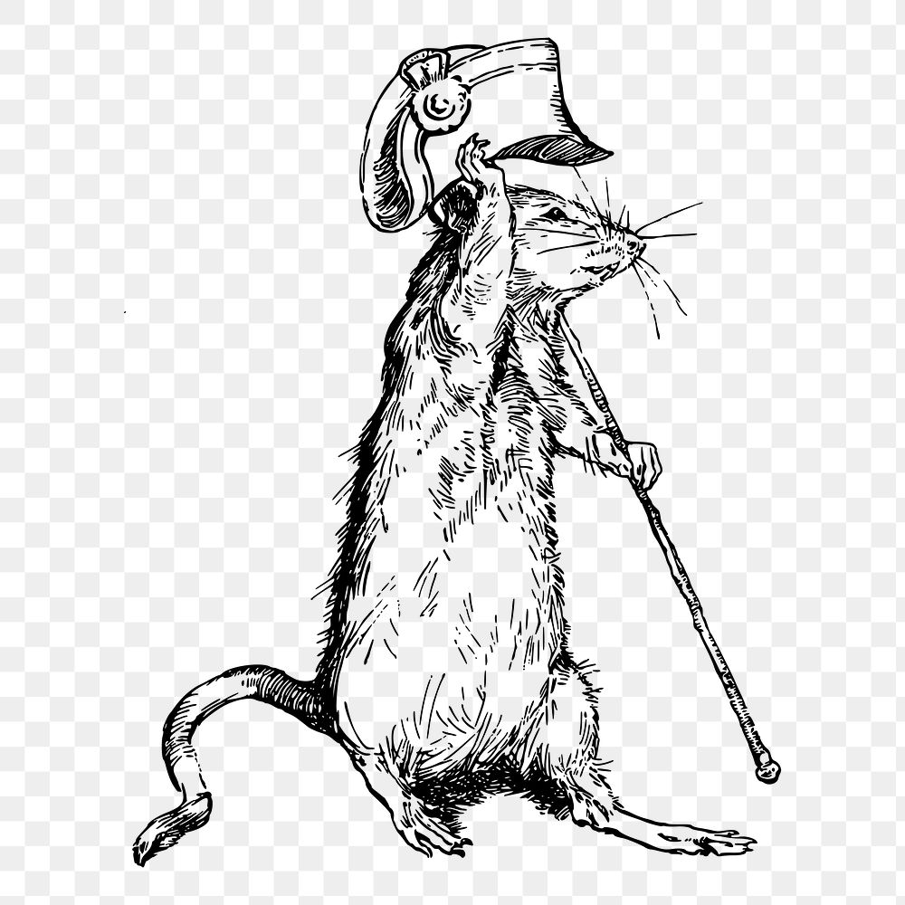 Mouse with hat png drawing sticker vintage illustration, transparent background. Free public domain CC0 image.
