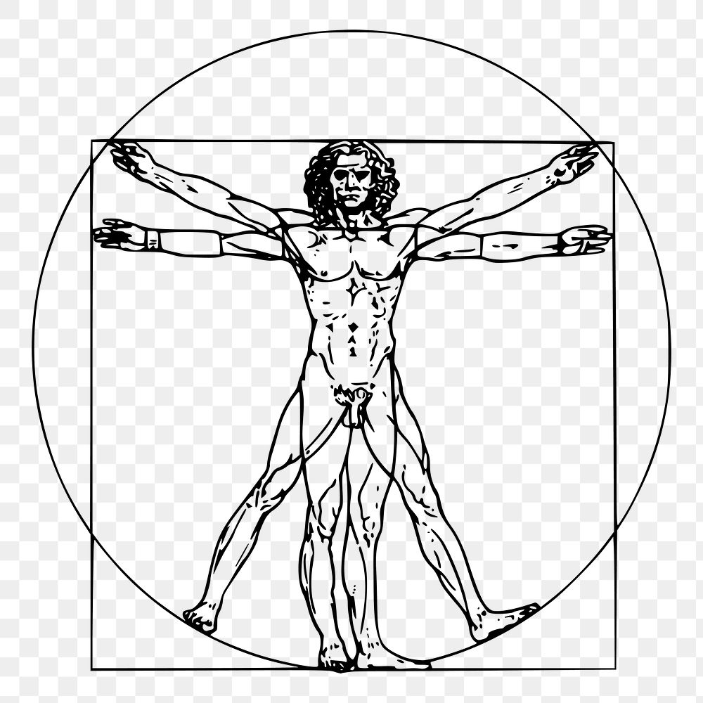 PNG Leonardo da Vinci inspired Vitruvian man drawing, human anatomy illustration psd. Free public domain CC0 image.