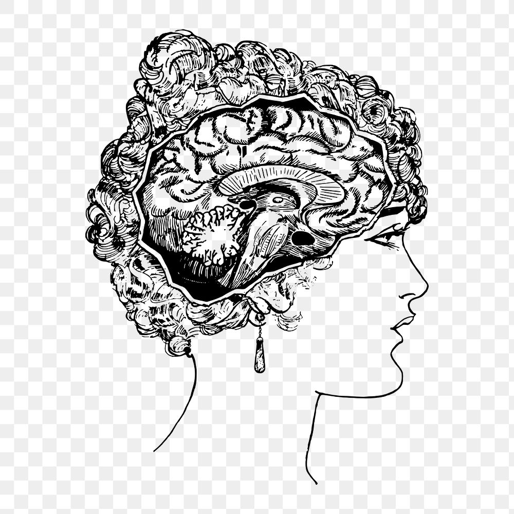 Woman's brain png portrait, medical vintage illustration, transparent background. Free public domain CC0 image.