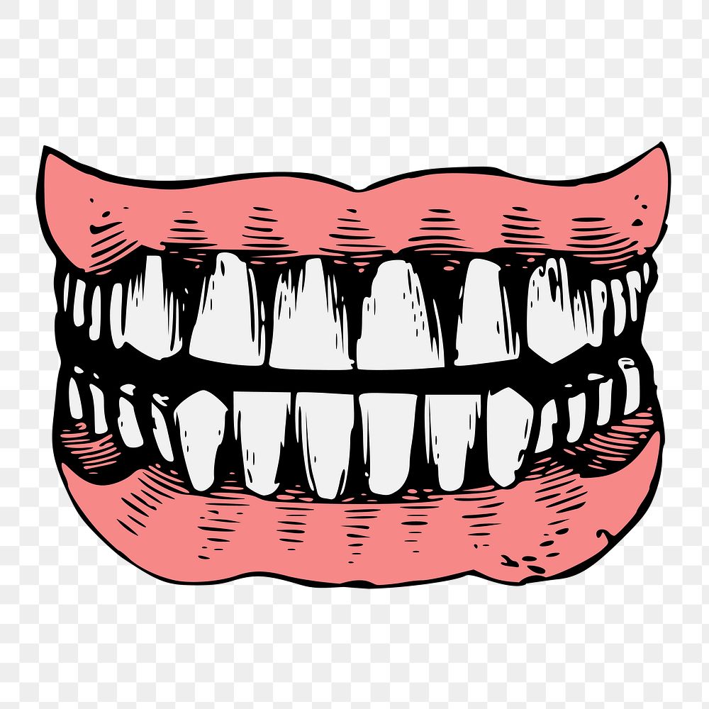 Human teeth png, vintage dental illustration, transparent background. Free public domain CC0 image.