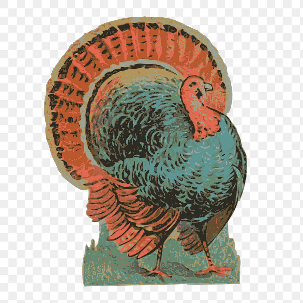 Turkey png sticker, vintage bird illustration, transparent background. Free public domain CC0 image.