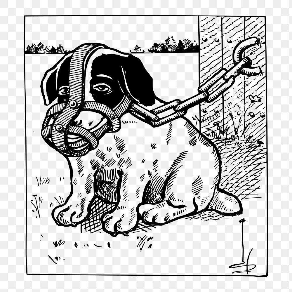 Muzzled puppy png, animal clipart, vintage illustration on transparent background. Free public domain CC0 image.