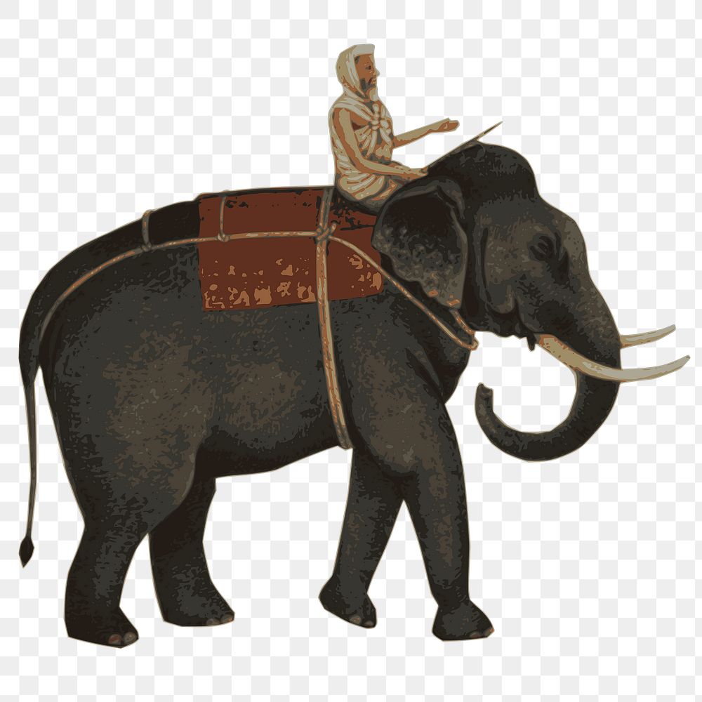 Elephant rider png sticker, Indian mahout illustration, transparent background. Free public domain CC0 image.