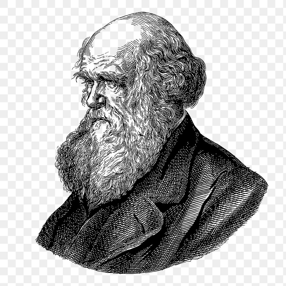 Charles Darwin png sticker, famous person hand drawn illustration, transparent background. Free public domain CC0 image.