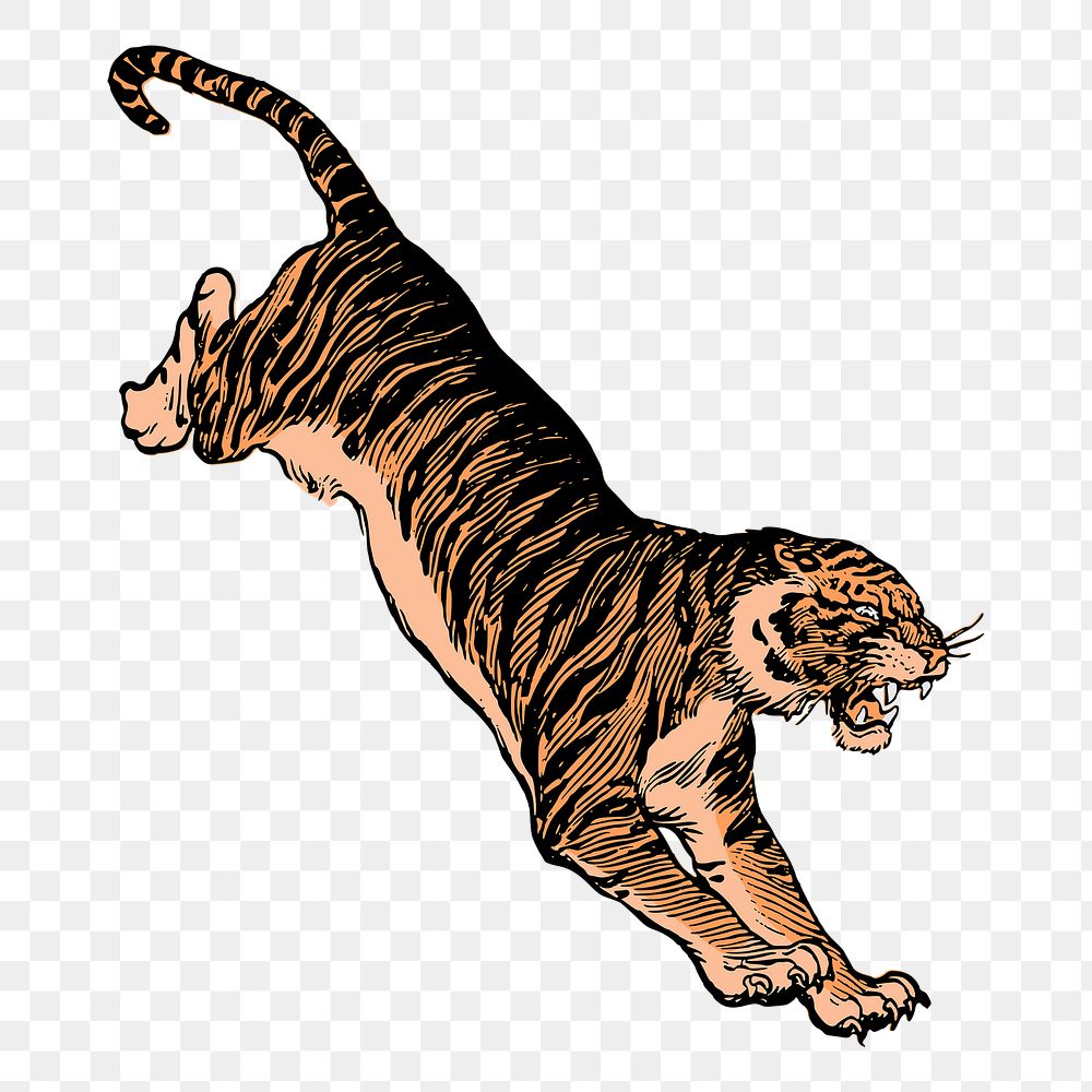 Jumping tiger png sticker, animal illustration, transparent background. Free public domain CC0 image.