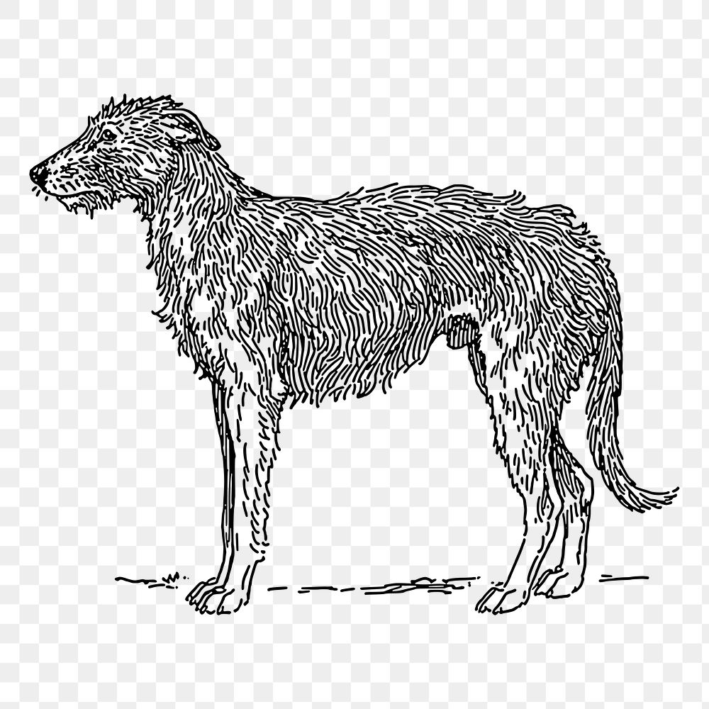 Dog png sticker, Deerhound hand drawn illustration, transparent background. Free public domain CC0 image.