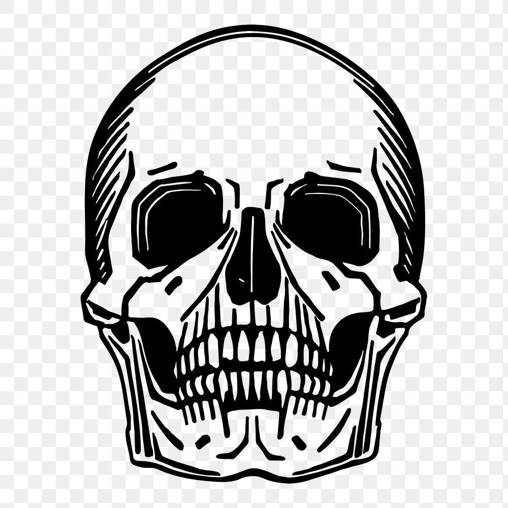 Skull png sticker, skeleton illustration, transparent background. Free public domain CC0 image.