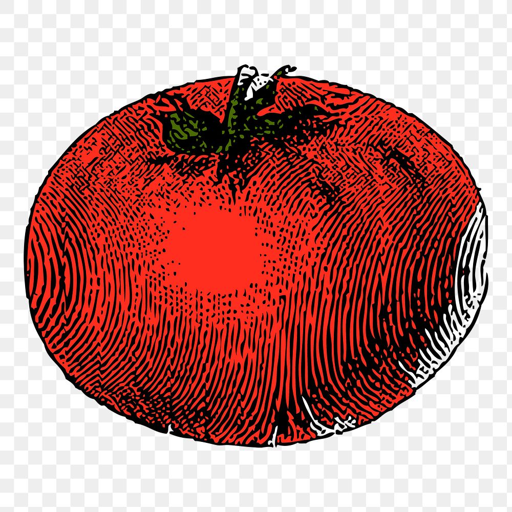 Tomato png sticker vegetable illustration, transparent background. Free public domain CC0 image.