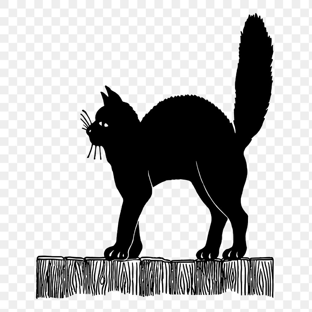 Black cat png sticker, pet hand drawn illustration, transparent background. Free public domain CC0 image.