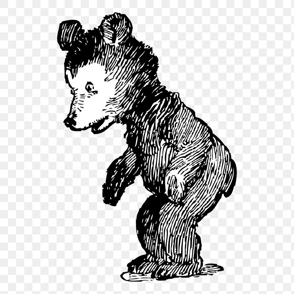 Baby bear png clipart, animal hand drawn illustration, transparent background. Free public domain CC0 image.