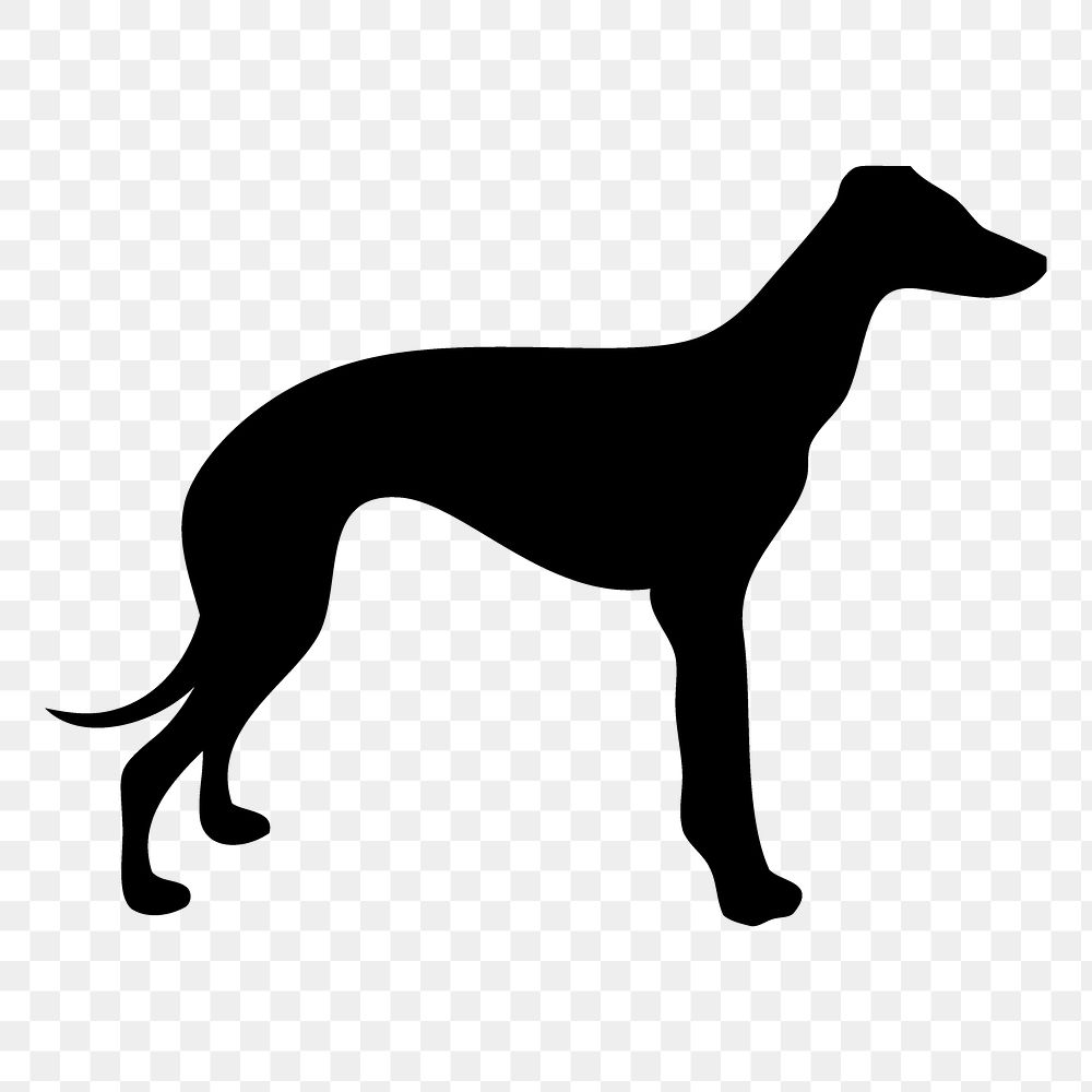 Greyhound png sticker dog silhouette, transparent background. Free public domain CC0 image.