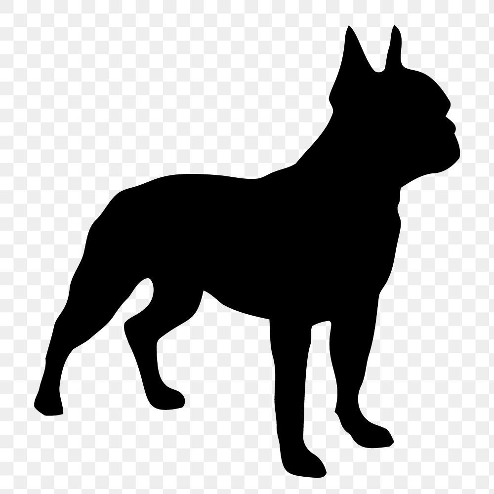 Boston Terrier png dog sticker animal silhouette, transparent background. Free public domain CC0 image.