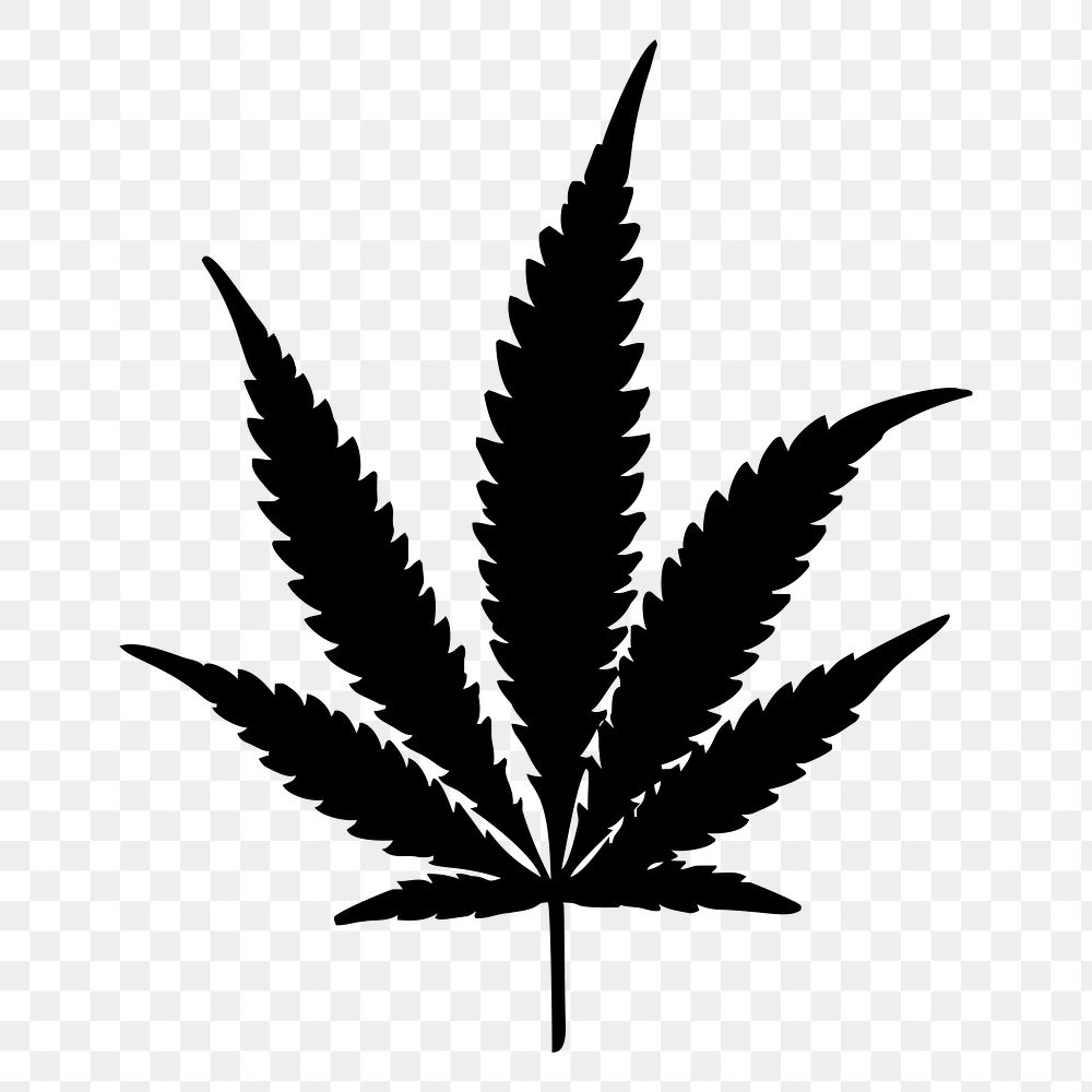 Cannabis leaf png sticker nature silhouette, transparent background. Free public domain CC0 image.