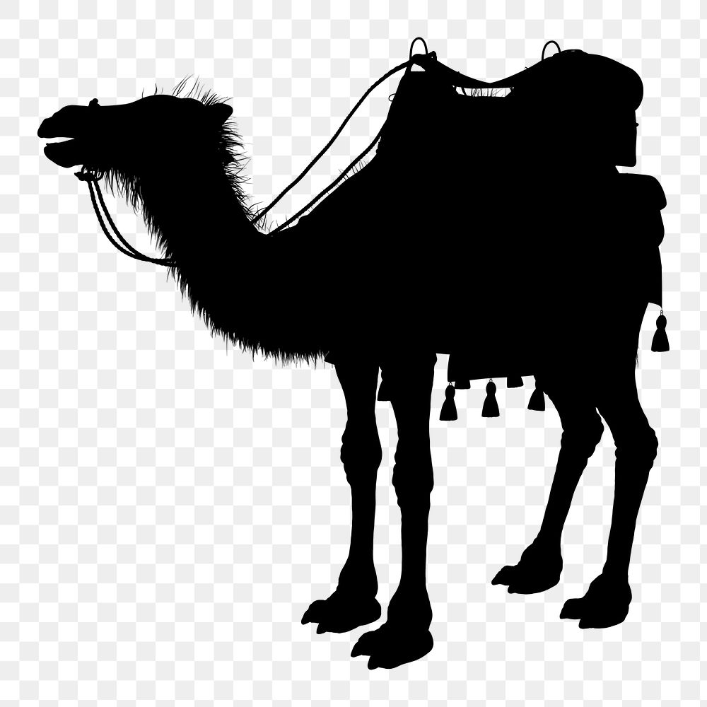 Camel png sticker animal silhouette, transparent background. Free public domain CC0 image.