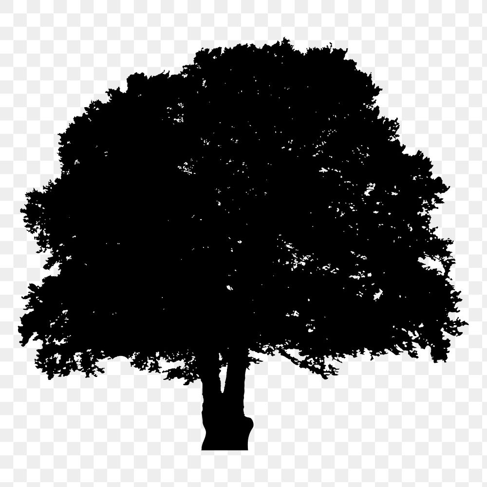 Tree png sticker nature silhouette, transparent background. Free public domain CC0 image.