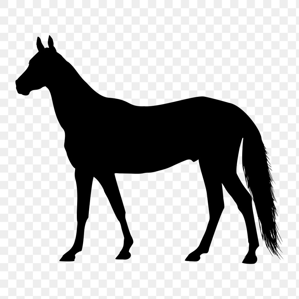 Horse png sticker animal silhouette, transparent background. Free public domain CC0 image.