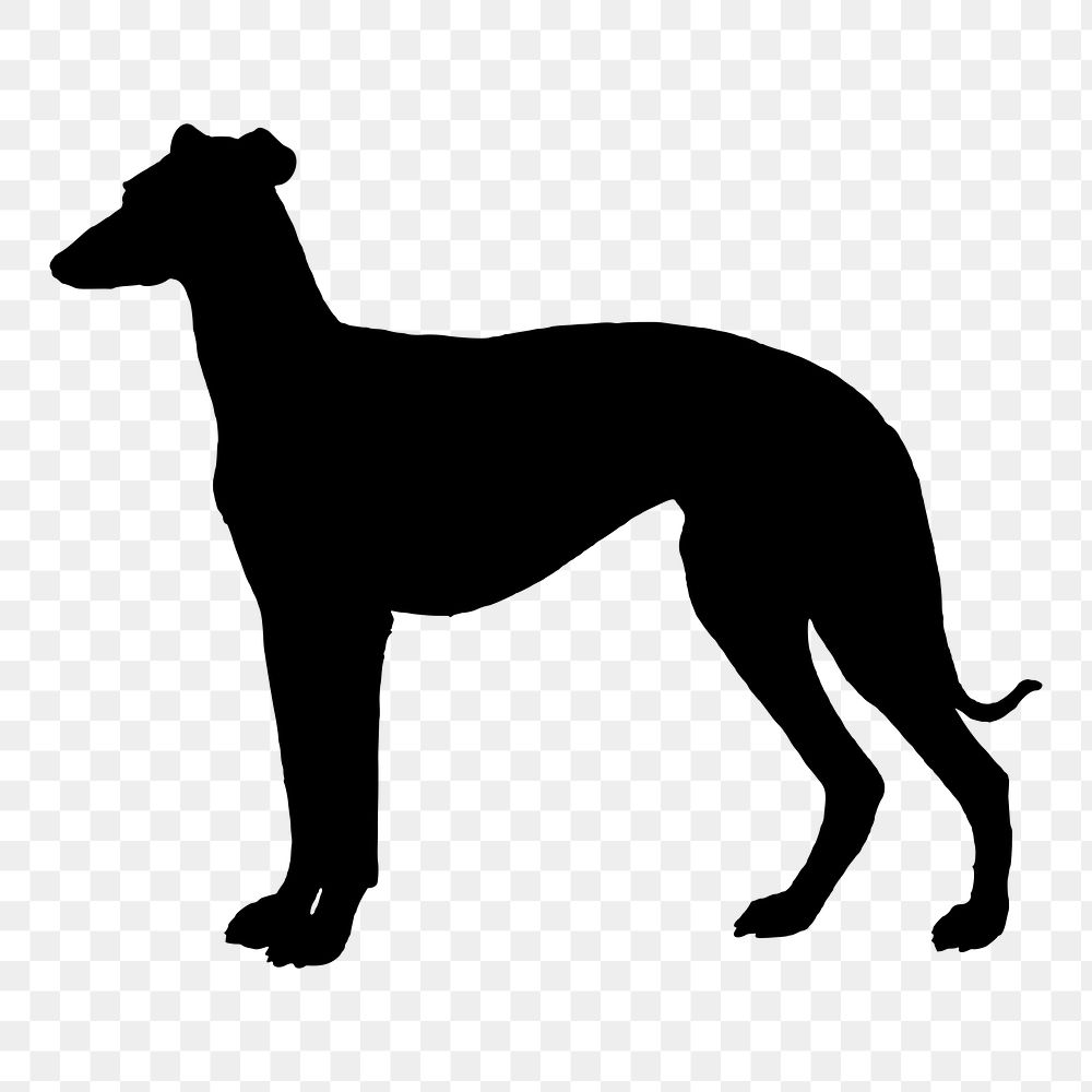 Greyhound dog png sticker animal silhouette, transparent background. Free public domain CC0 image.