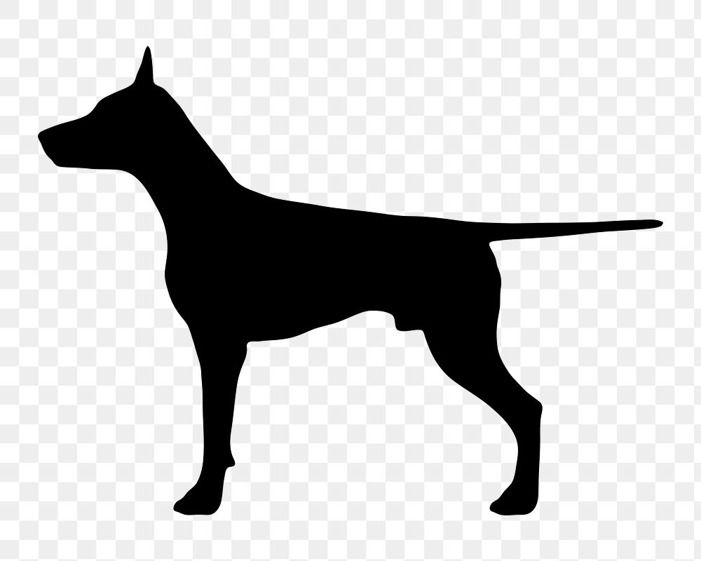 Doberman dog png sticker animal silhouette, transparent background. Free public domain CC0 image.