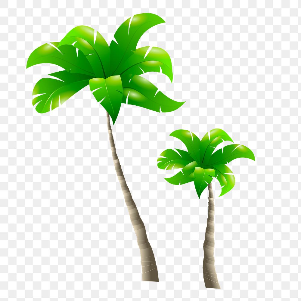Palm tree png sticker, nature illustration on transparent background. Free public domain CC0 image.