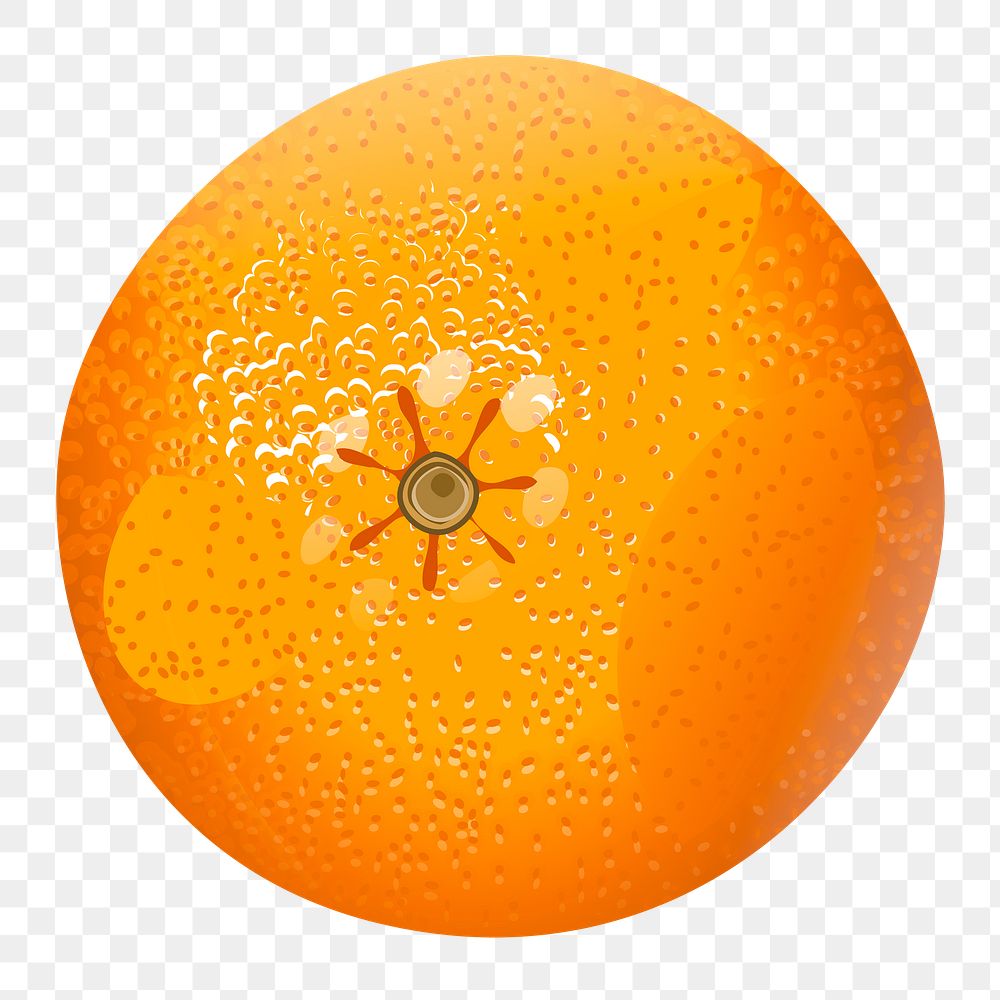 Tangerine png sticker, fruit illustration on transparent background. Free public domain CC0 image.