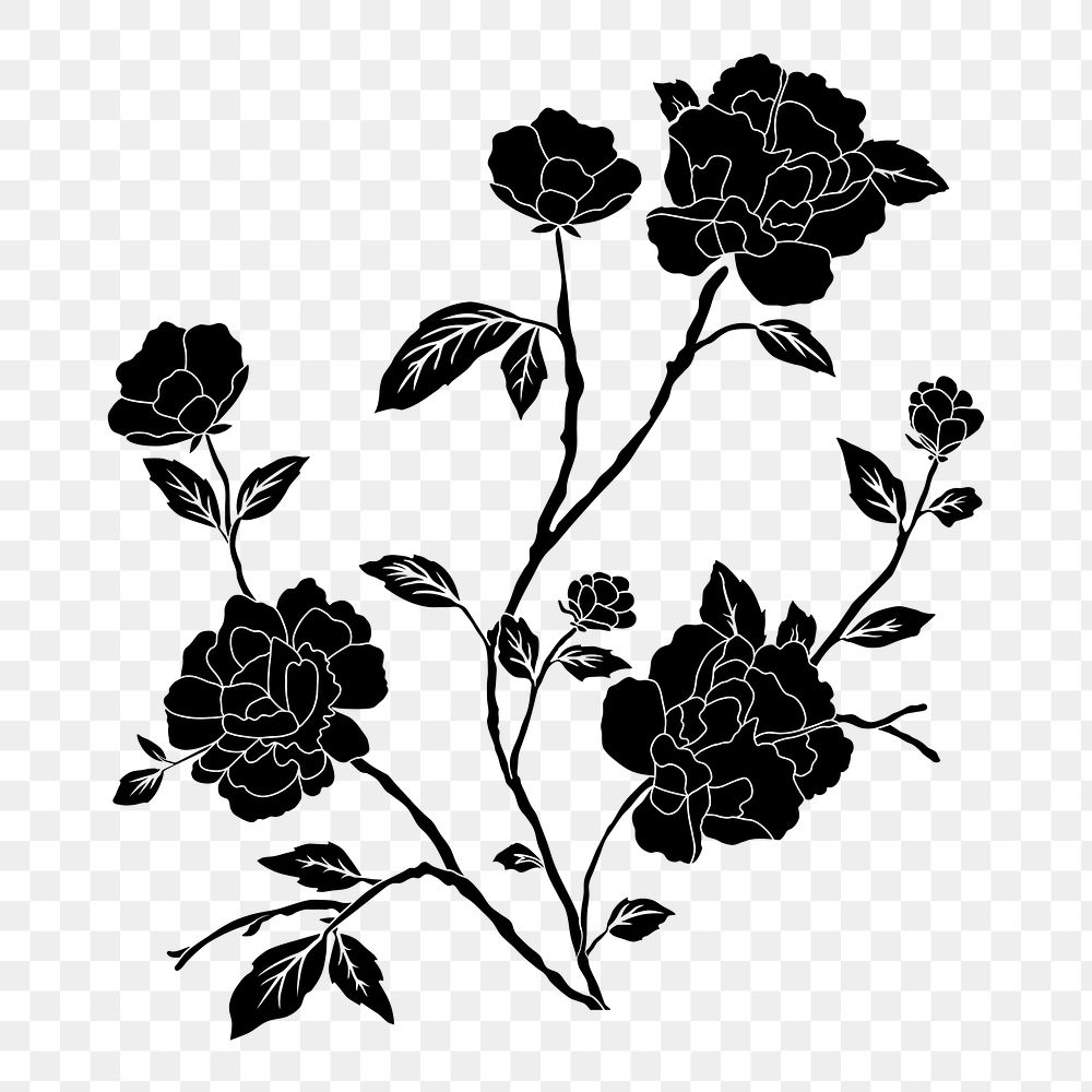 Rose flower png sticker, vintage drawing on transparent background. Free public domain CC0 image.