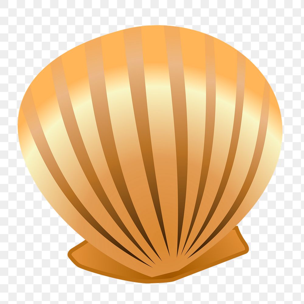 Seashell png sticker, marine life illustration on transparent background. Free public domain CC0 image.