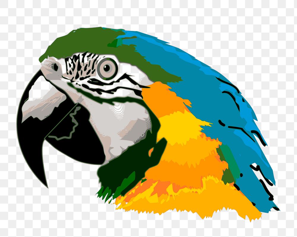 Parrot png sticker, animal illustration on transparent background. Free public domain CC0 image.