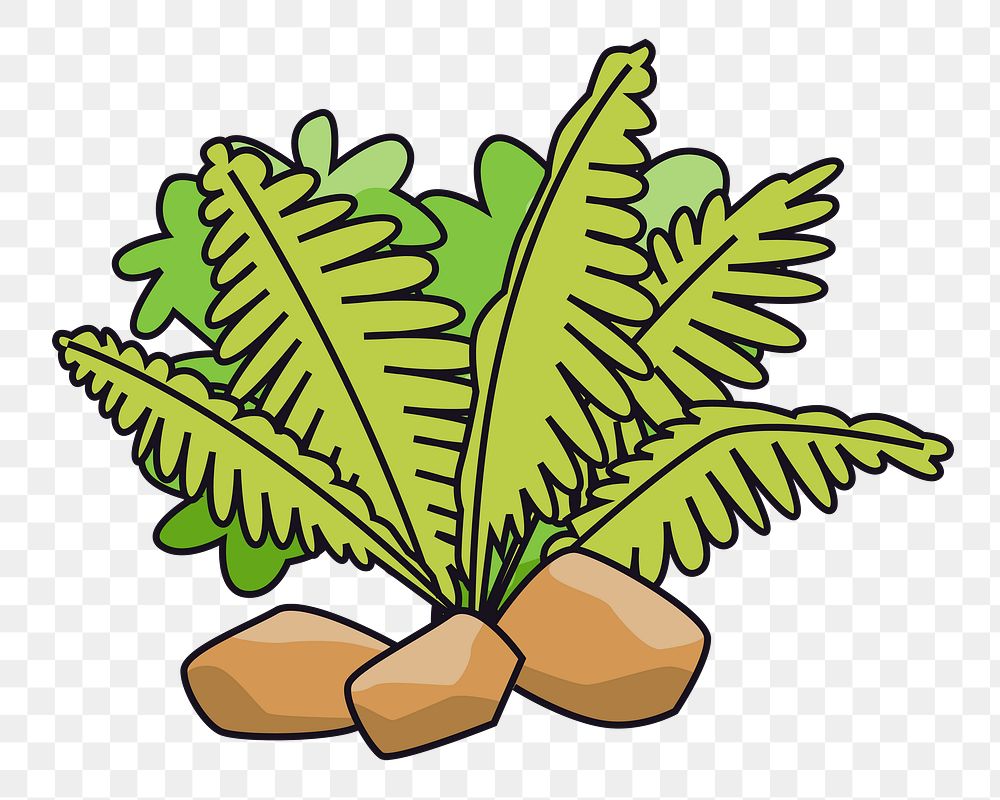 Leaf bush png sticker, botanical illustration on transparent background. Free public domain CC0 image.