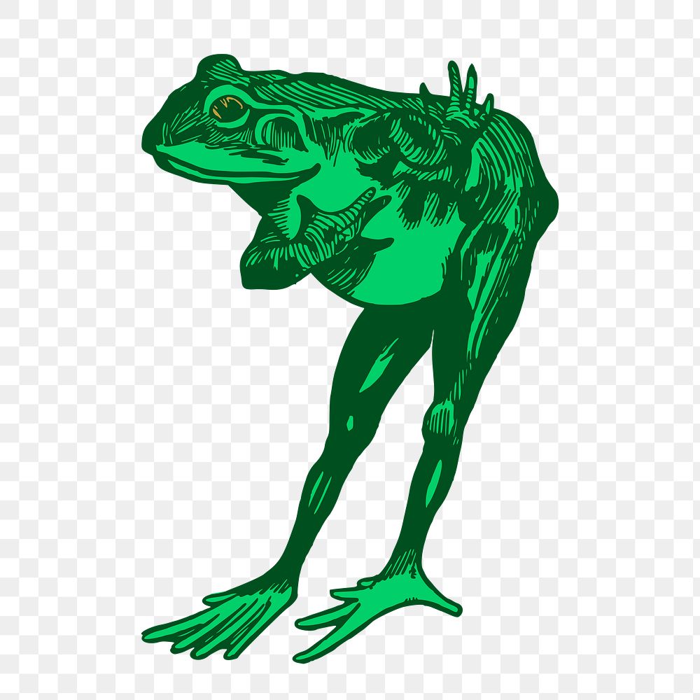 japanese frog clipart