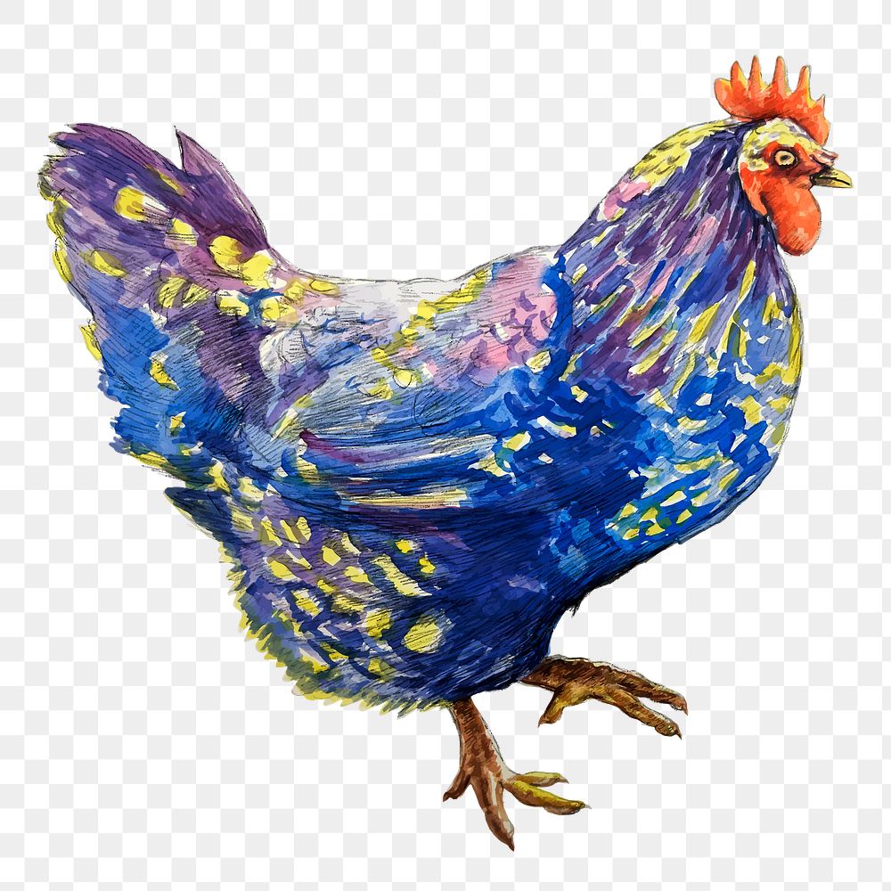 Blue chicken png sticker illustration, transparent background. Free public domain CC0 image.