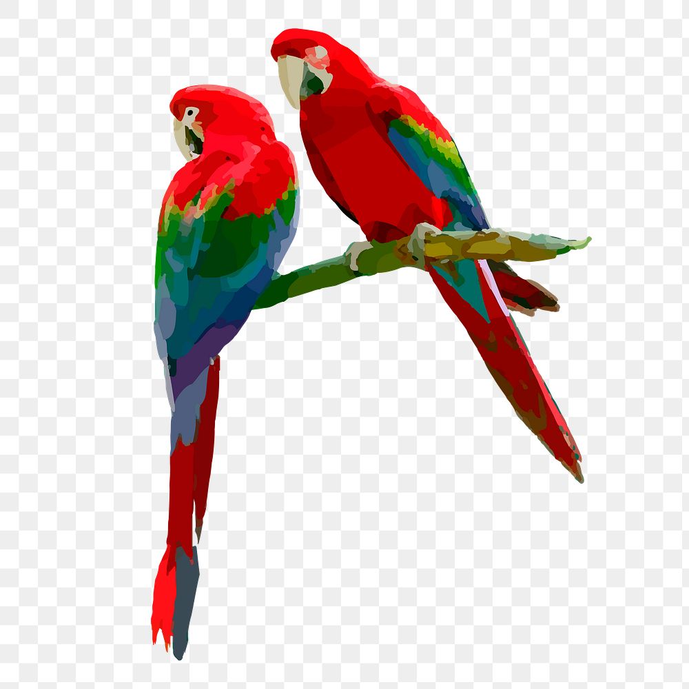 Parrot birds png sticker illustration, transparent background. Free public domain CC0 image.