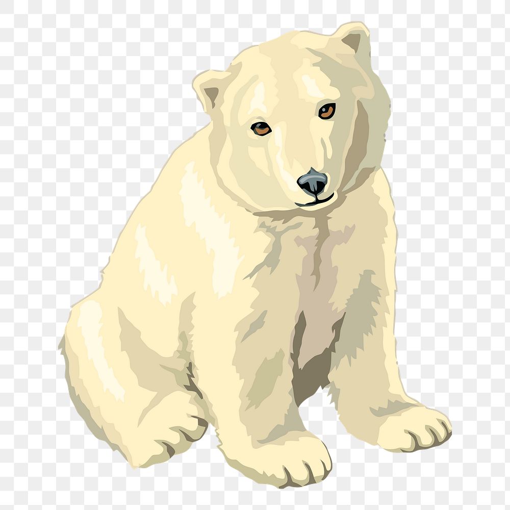Polar bear baby png sticker illustration, transparent background. Free public domain CC0 image.