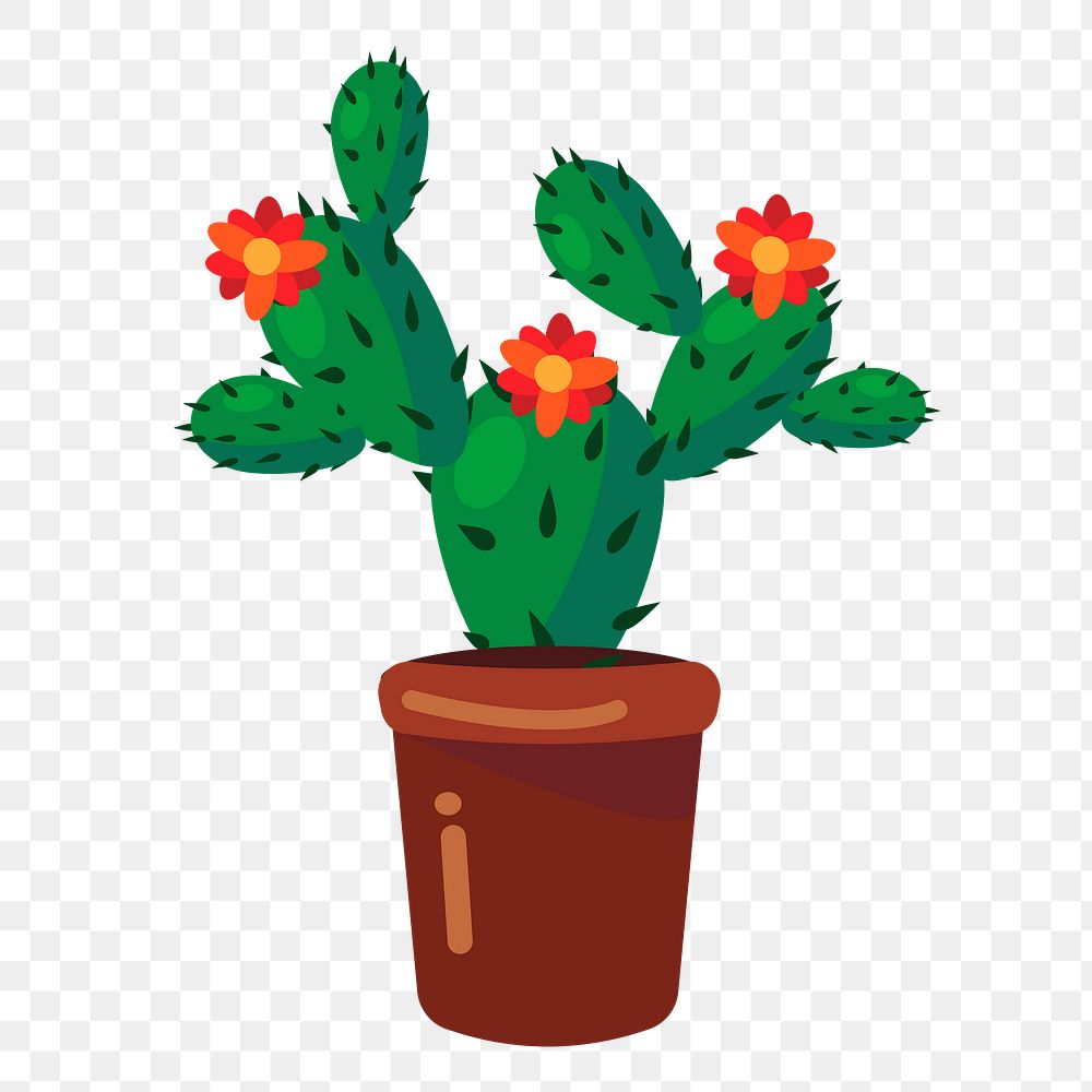 Blooming cactus png sticker illustration, transparent background. Free public domain CC0 image.