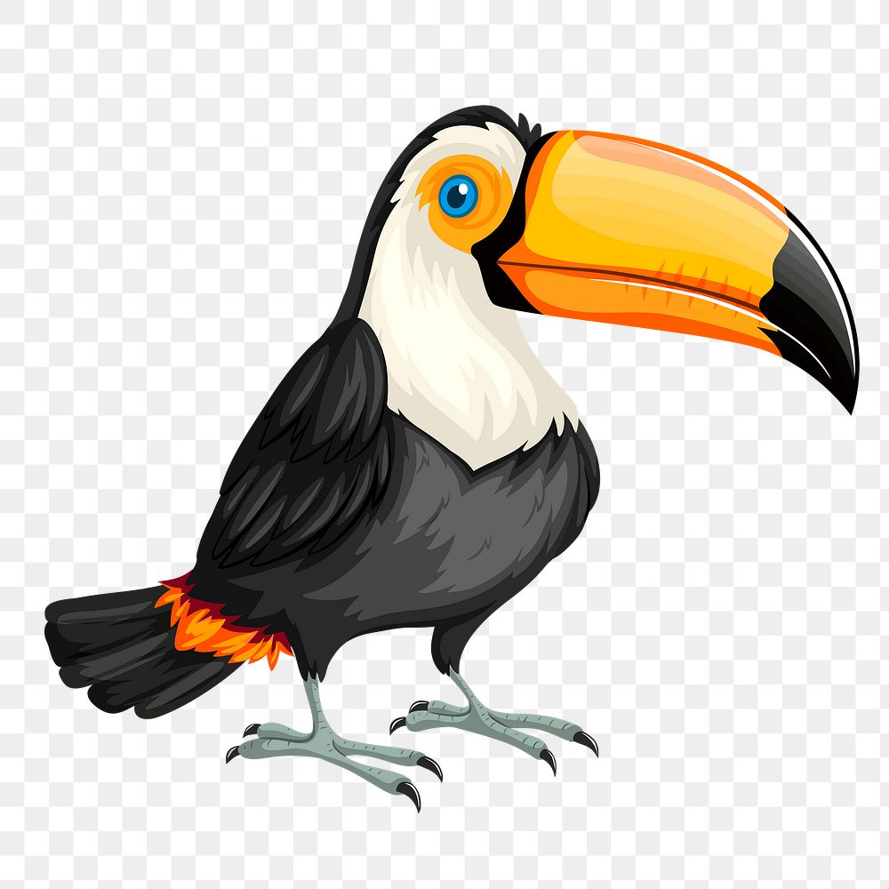 Toucan bird png sticker illustration, transparent background. Free public domain CC0 image.