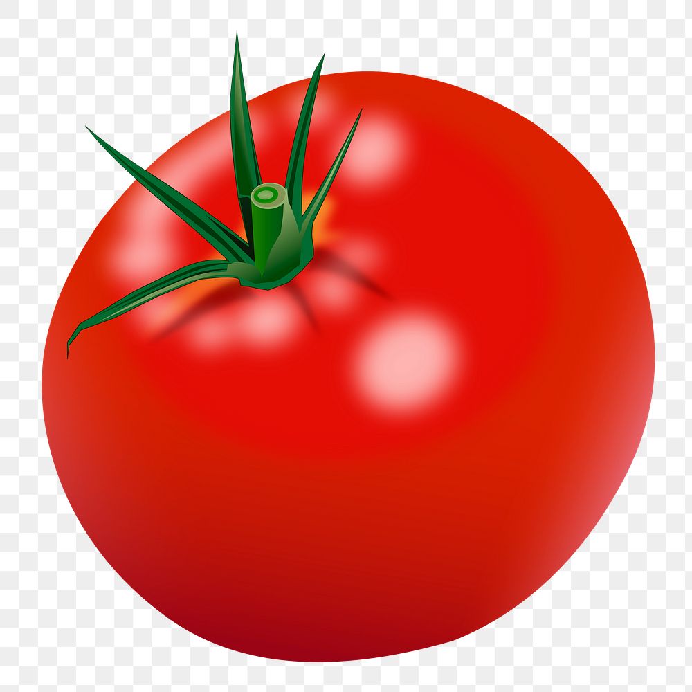 Realistic tomato png sticker illustration, transparent background. Free public domain CC0 image.