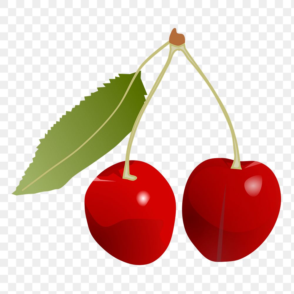 Realistic cherries png sticker illustration, transparent background. Free public domain CC0 image.