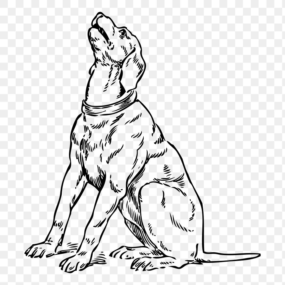 Howling dog png sticker vintage animal illustration, transparent background. Free public domain CC0 image.