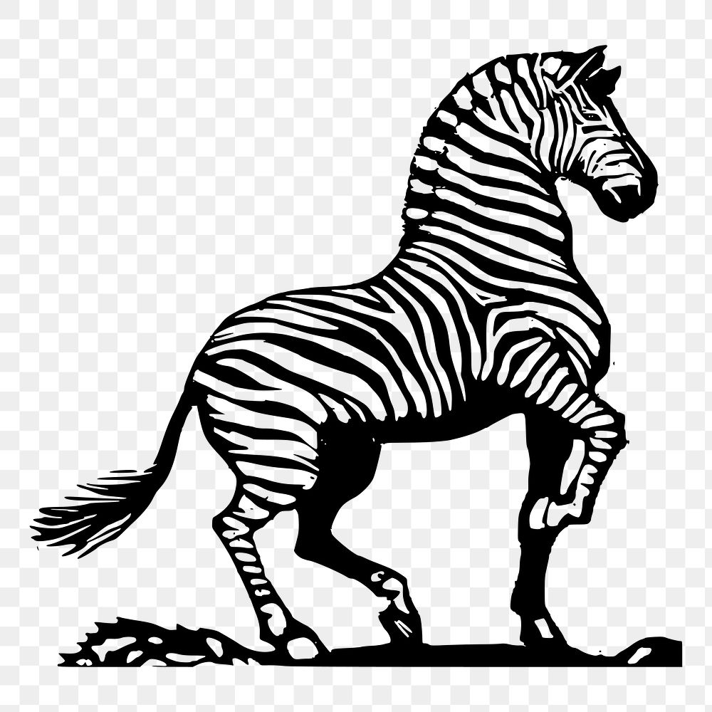 Zebra png sticker vintage animal illustration, transparent background. Free public domain CC0 image.