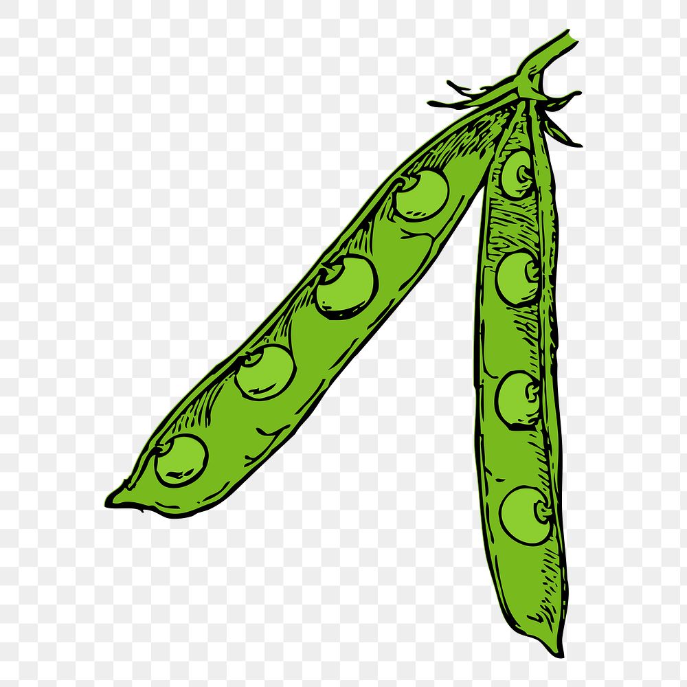 Sugar snap peas png, Japanese vegetable illustration, transparent background. Free public domain CC0 image.
