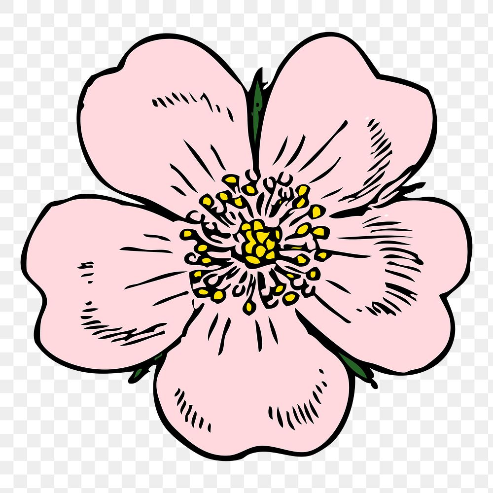 Blooming flower png sticker, vintage pink illustration, transparent background. Free public domain CC0 image.
