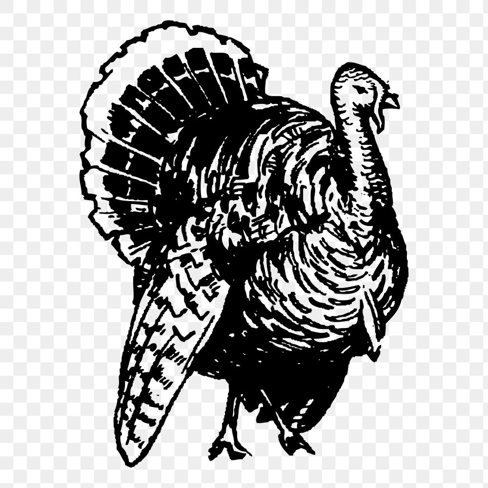 Turkey png sticker vintage bird illustration, transparent background. Free public domain CC0 image.