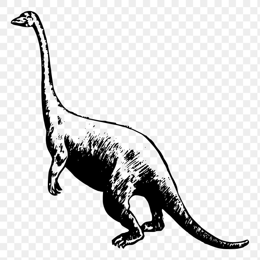 Dinosaur png sticker extinct animal illustration, transparent background. Free public domain CC0 image.